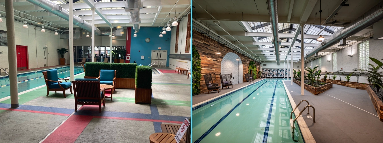 halstead providence before after